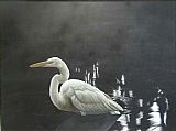 Egret by John James Audubon
